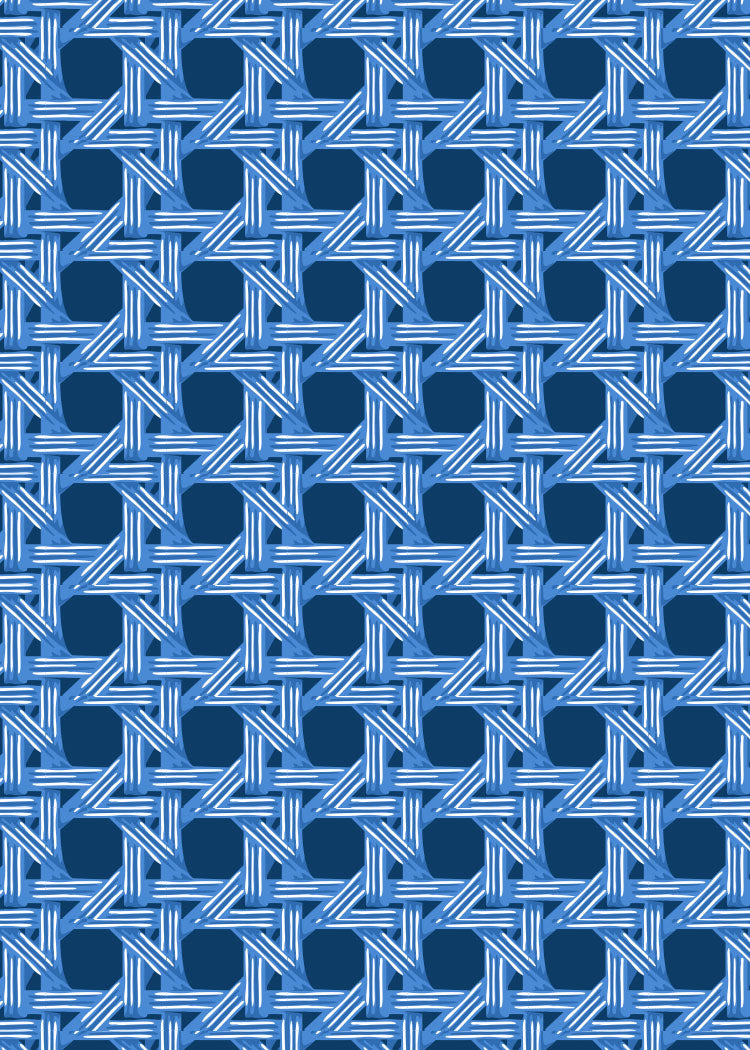 Blue basketweave print