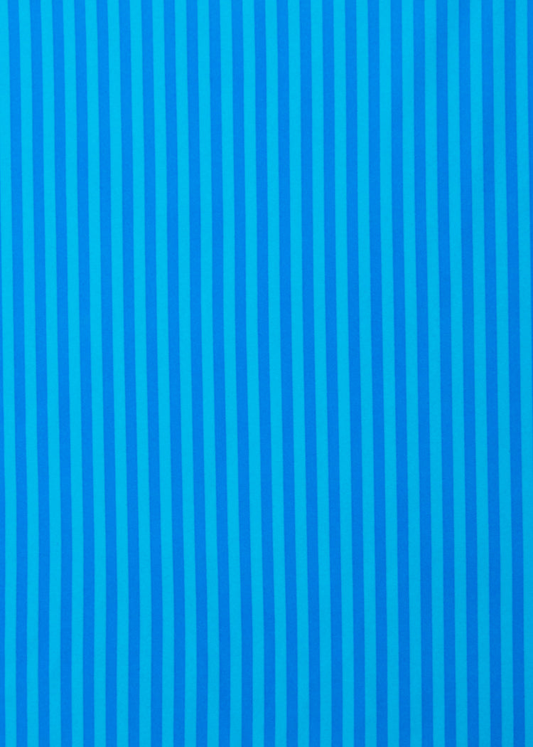 Palm Valley Reversible Ruched Bikini Bottom