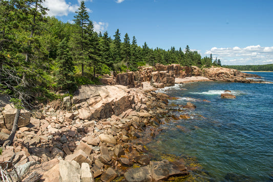 Bar Harbor, Maine: Family Travel Guide