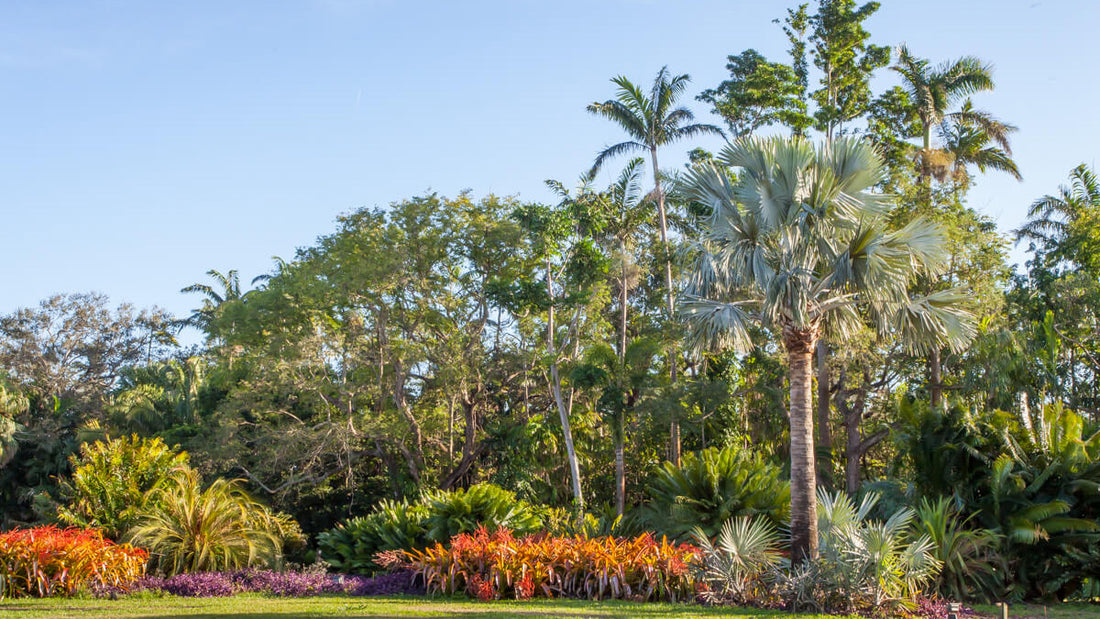 #SunshineSpotlight: Coral Gables/Miami Travel Guide