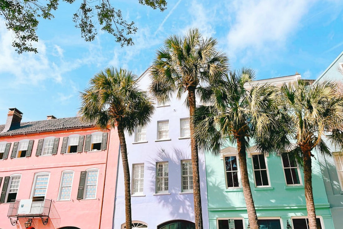 Rainbow Row Pastels houses with palm trees in front