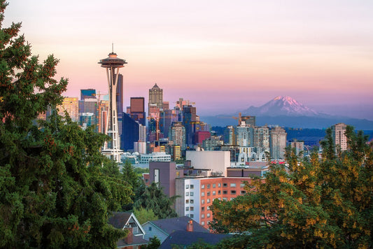 Seattle skyline sunset framed by trees 